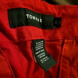 Torrid Sateen shorts